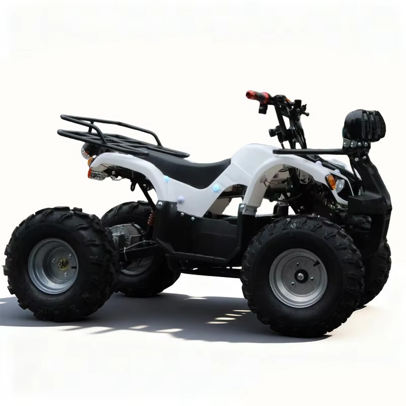 750W 48V Elektrische Kinderqua - Kids Outdoor Quad Bike recensie en prijs